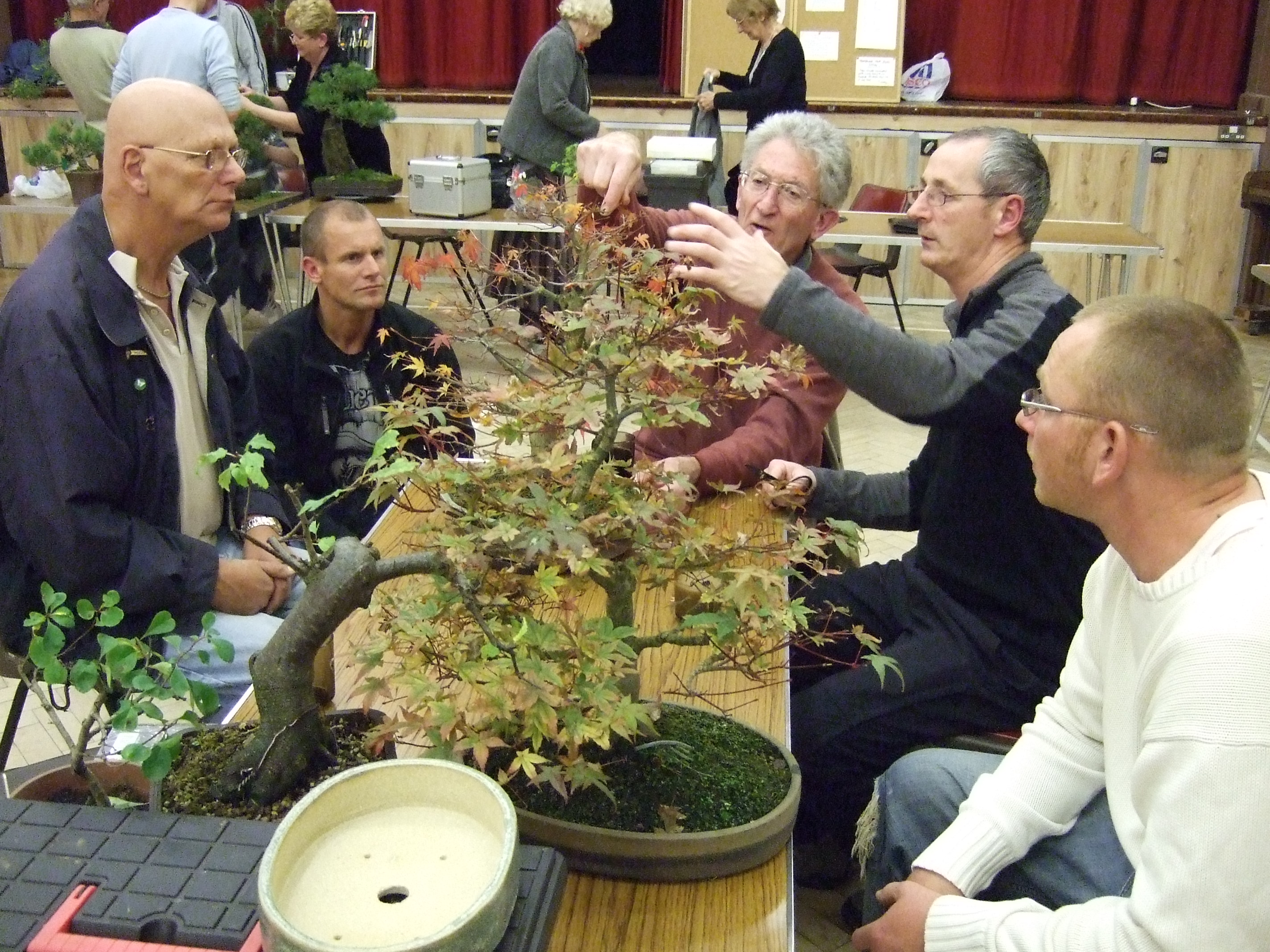 weseex bonsai society workshops