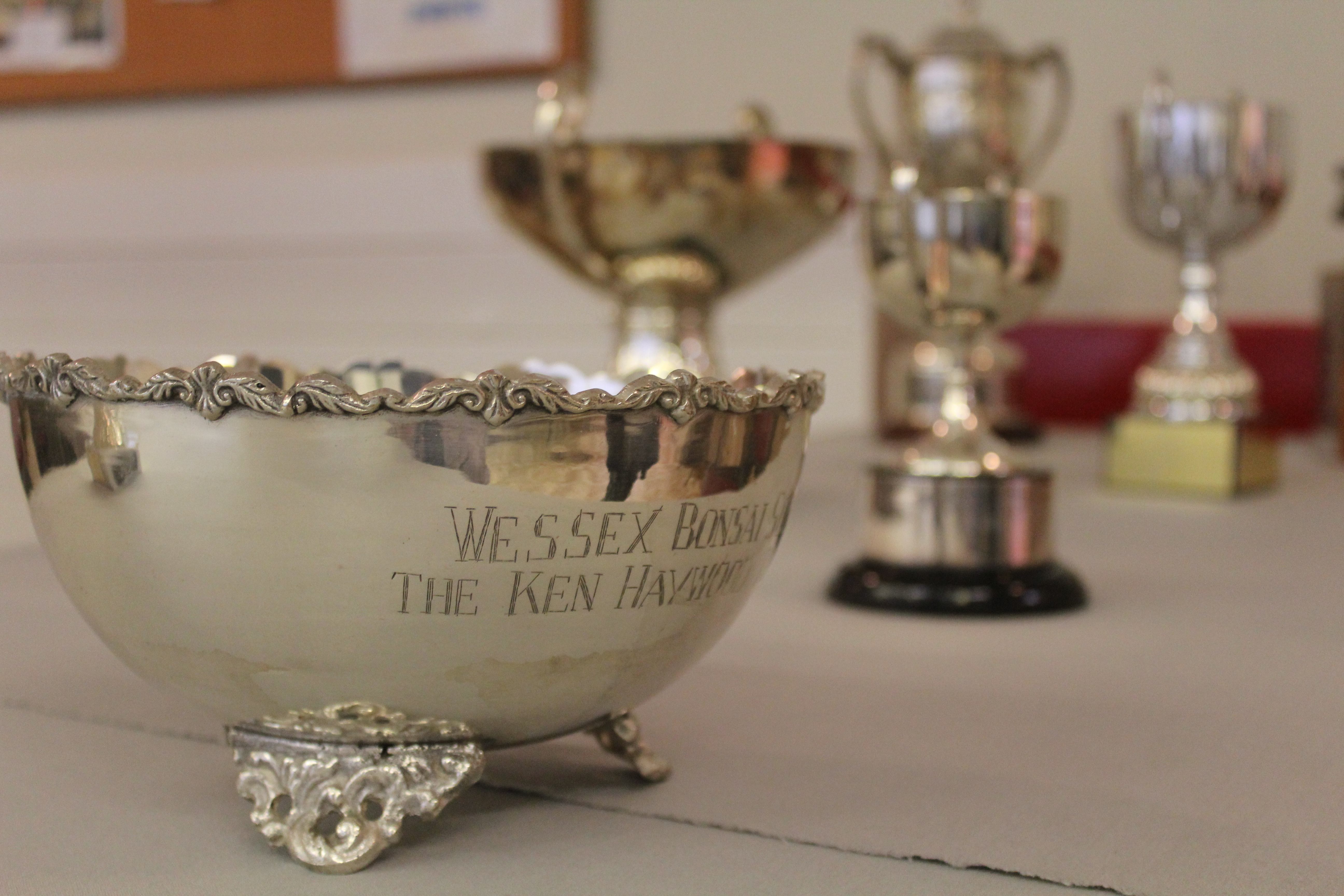 Wessex Bonsai Open Competition Trophy